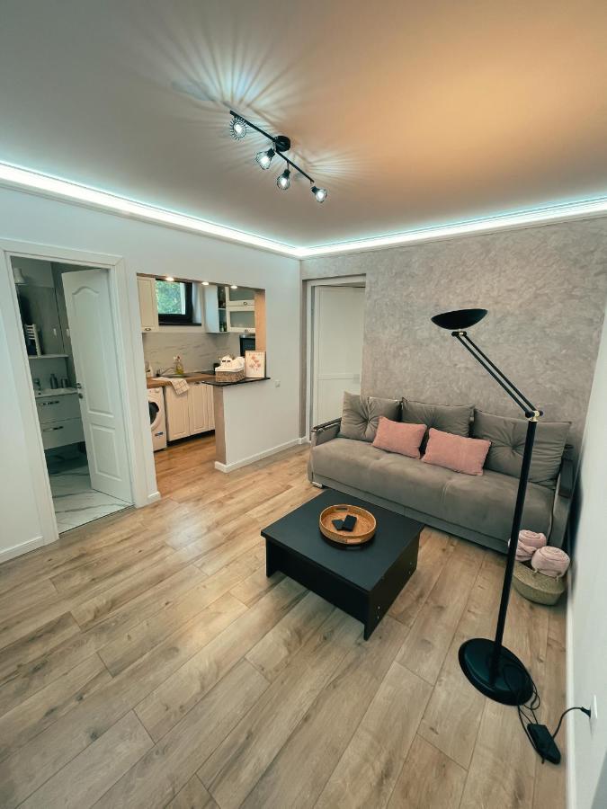 Cozy Glen Apartment Targu-Mures Bagian luar foto